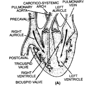 ocr_image