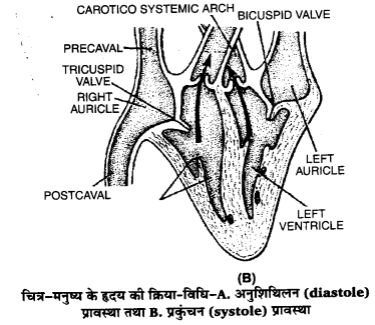 ocr_image