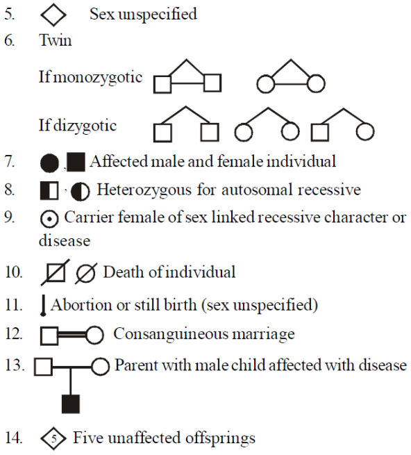 ocr_image