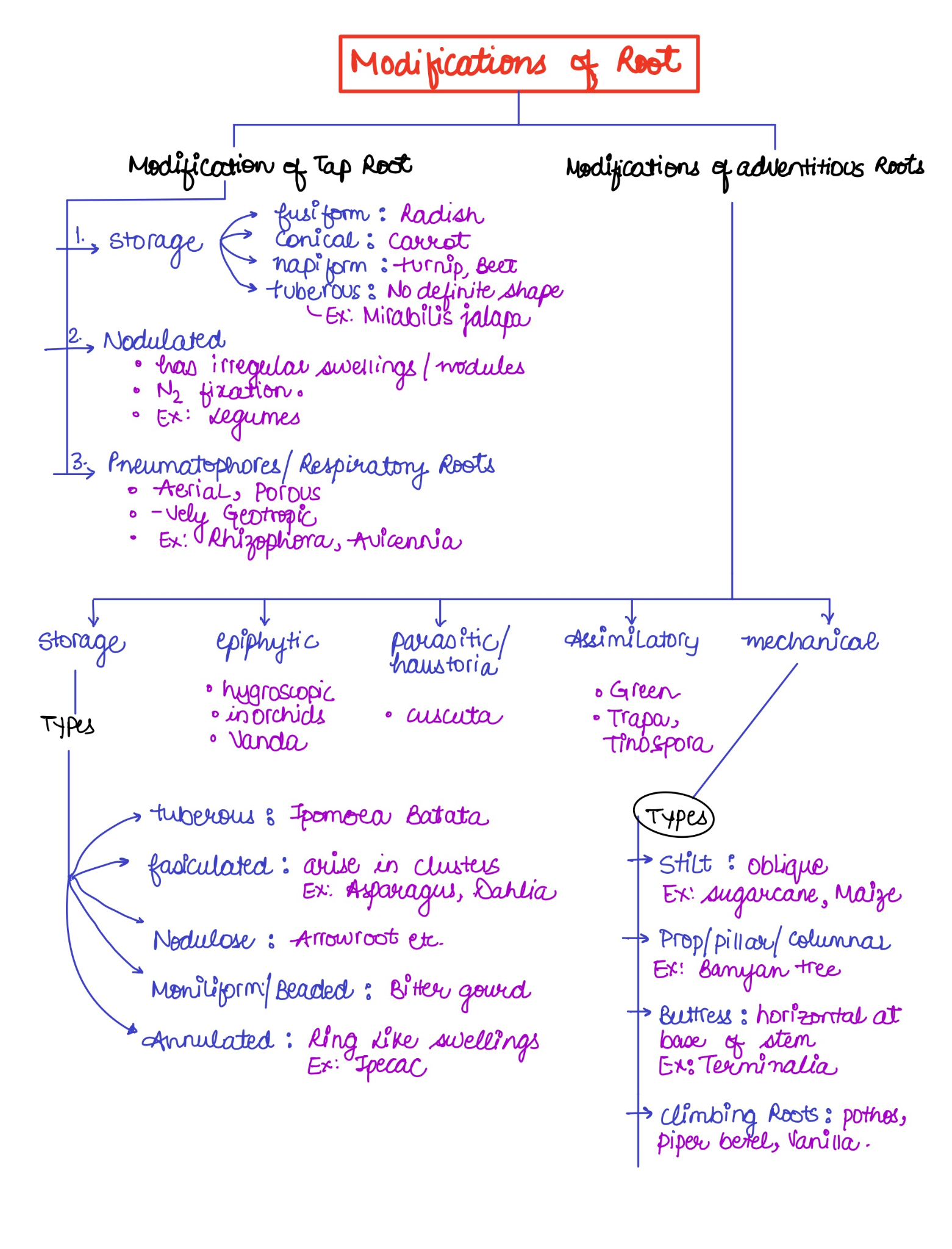 ocr_image