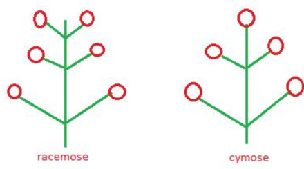 ocr_image