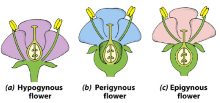 ocr_image