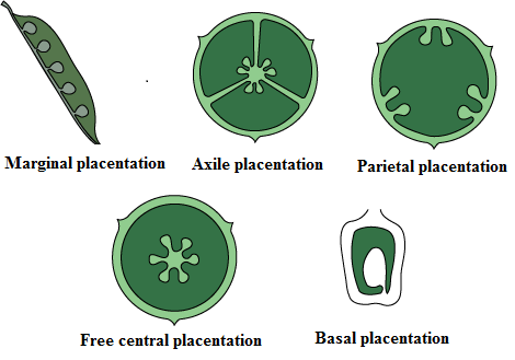 ocr_image