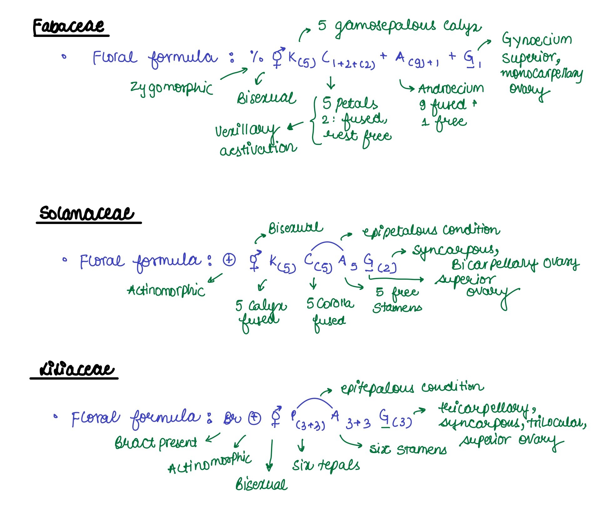 ocr_image