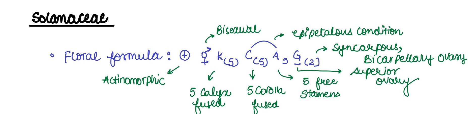 ocr_image