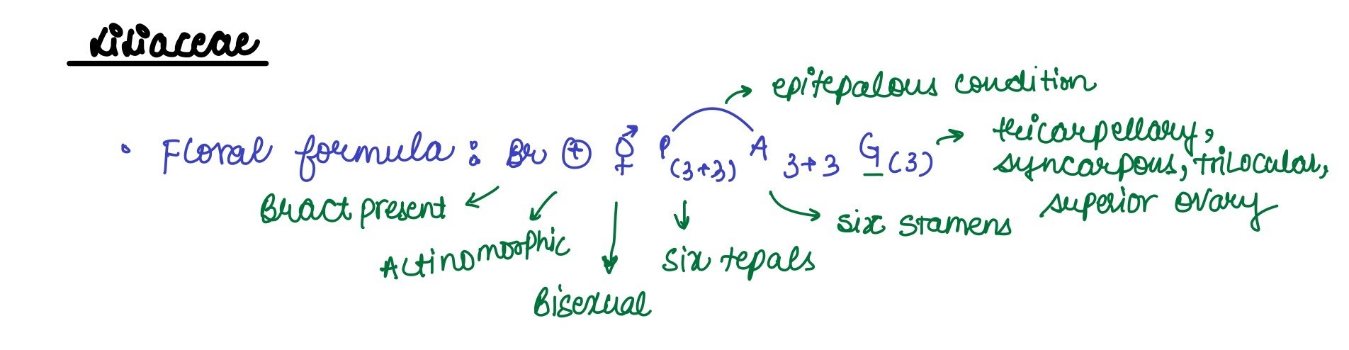 ocr_image