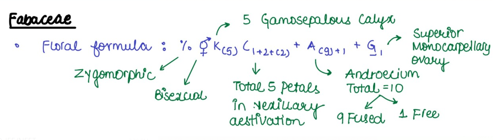 ocr_image