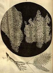 ocr_image