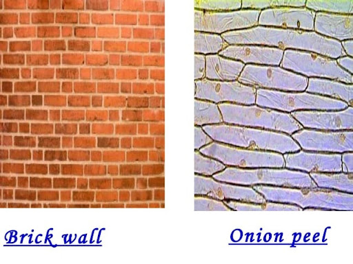 ocr_image
