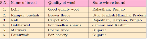 ocr_image
