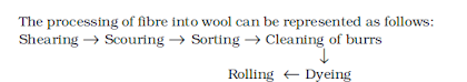 ocr_image