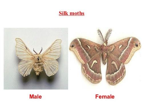 ocr_image