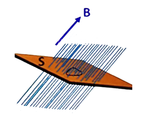 ocr_image
