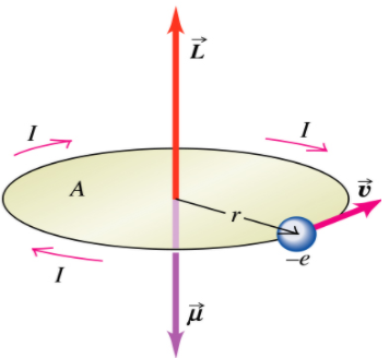 ocr_image