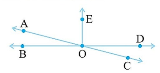 In the adjoining figure, name the following pairs of angles.(i) Obtuse vertically opposite angles(ii) Adjacent complementary angles(iii) Equal supplementary angles(iv) Unequal supplementary angles(v) Adjacent angles that do not form a linear pair