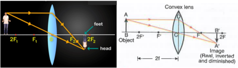 ocr_image