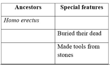 Complete the table based on the special features of Human ancestors showing their cultural and social development.