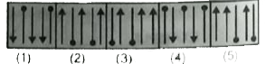 Out of the five given figures, four are similar in a certain way. One figure is not like the other four. That means four figures form a group based on some common characteristics. Find out the figure which does not belong to the group i.e., which does not share the common features characteristics with other four figures