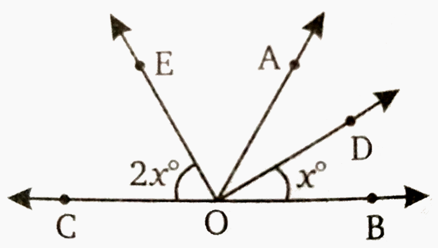 दिये गये चित्र में, यदि angleCOE=2x^(@) और angleBOD=x^(@), तो x ज्ञात कीजिए | (जहाँ OD, angleAOB का समद्विभाजक है और OE, angleAOC का समद्विभाजक है |)