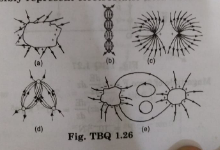 Which of the following figures cannot possibly represent electrostatic field lines?