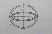 Two coils of wire A and B are placed mutaully perpendicular as shown in the figure. When current is changed in any one coil, will the current be induced in another coil?