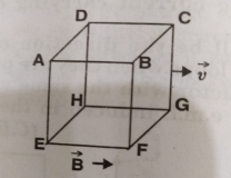 Twelve wires of equal lengths are connected in the form of a skelton cube which is moving with a velocity vecv in direction of magnetic field vecB. Find the e.m.f. in each arm of the cube.