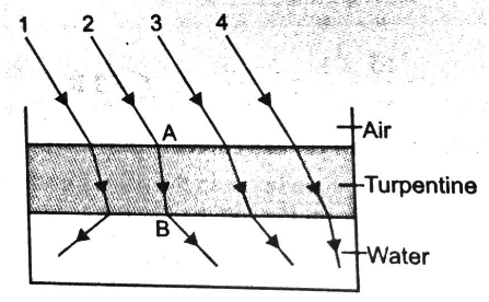 The optical denstiy of turpentine is higher than that of water while its mass density is lower. Fig. EP. 9.9 shows a layer of turpentine floating over than that of water in a container. For which one of the four rays incident on turpentine in Fig. EP. 9.15 the path shown is correct?