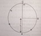 A bob of mass m suspended by a light string of length L is whirled into a vertical circle as shown in the figure. What will be the trajectory of the particle if the string is cut at   Point B?