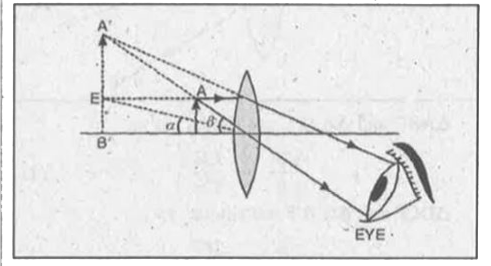 GCSE Science Core Practicals: How to draw ray diagrams for  convex/converging lenses GCSE Physics Revision