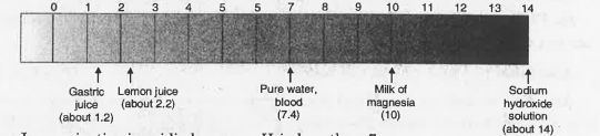 In the pH peper shown in figure given below pH of lemon juice Is2.2 and that milk of magnesia is 10.What is its singificance?