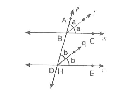 यदि दो रेखाओं  को एक तिर्यक  रेखा इस प्रकार प्रतिच्छेद  करे, कि संगत  कोणों के एक युग्म के कोणों के समद्विभाजक  समांतर  हो तो सिद्ध कीजिए कि दोनों रेखाएँ  समांतर हैं।