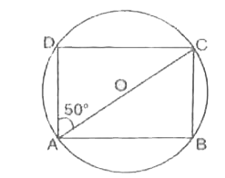 एक चक्रीय चतुर्भुज ABCD में AOC वृत्त का व्यास है| यदि angleCAD=50^(@) हो तो angleACD का मान क्या है?