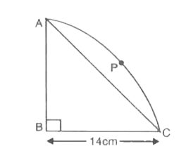 ABCPएक वृत जिसकी त्रिज्या 14cm का एक चौथाई है।AC को व्यास लेकर एक अर्धवृत खींचा गया है। छायांकित भाग का क्षेत्रफल ज्ञात कीजिए।