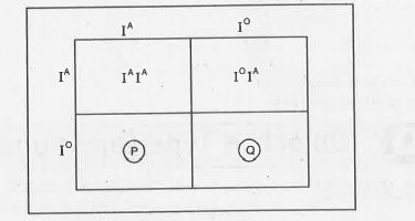 Write the blood group of progency P and Q.