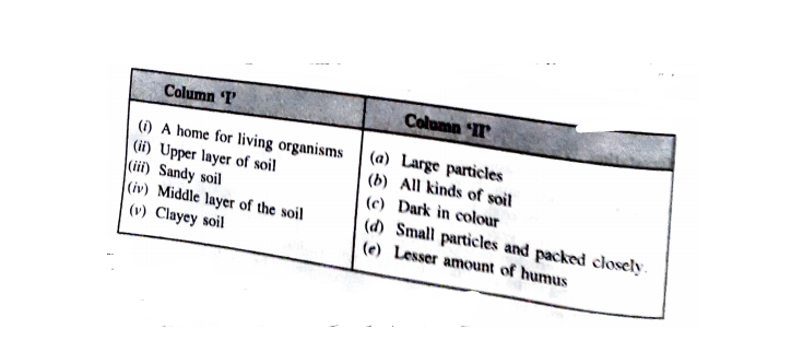 Match The Column 'A' With Column 'B'