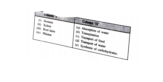 Match the Column 'I' and Column 'II': .