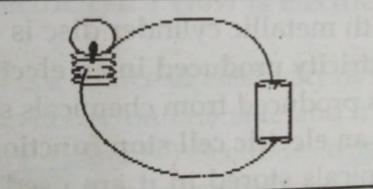 Would the bulb glow in the circuit shown in fig.?