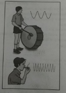 The sound produced by which instrument has more pitch?