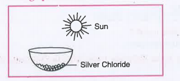 The following diagram displays a chemical reaction. Observe carefully and answer the following question : identify the type of chemical reaction. write the chemical reaction   .