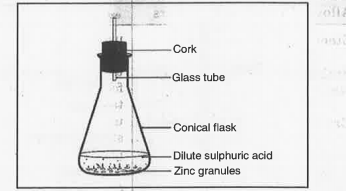 Observe the figure given below and name the gas produced also give the chemical equation.