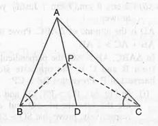 In fig.   BP and CP are the bisectors of angleB and angleC respectively and AC > AB. Prove each of the following : PC>PB.