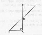 AC and BD are equal perpendicular to line segment AB. If DeltaBOC ~= DeltaAOD what is the relation between OC and OD ?