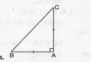 ABC is a right angled triangle in which angleA = 90^@ and AB = AC. Find angleB and angleC.