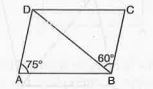 In Fig.  ABCD is a parallelogram in which /DAB = 75^@ and /DBC = 60^@. Compute /CDB and /ADB.