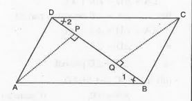 ABCD is a parallelogram and AP and CQ are the perpendiculars from vertices A and C on its diagonal BD (See fig.)   Show that AP = CQ.