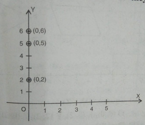 Plot the points(0,2),(0,5) and (0,6).what do you observe ?Where do they all lie?