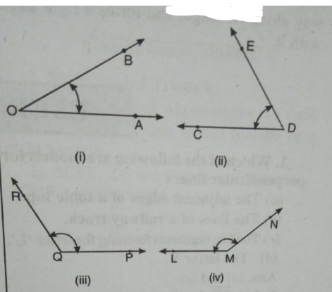 Measure each of the following angles with the help of a protractor and write the measures in degrees: