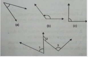 Measure the   anbgles given below using the Protractor and write down the measure.