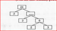 Complete the prime factorization tree :    .