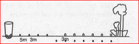 In a potato race a bucket is placed at the starting point, which is 5 m from the first potato, and the other potatoes are placed 3 m apart in a straight line. There are ten potatoes in the line (see Fig.) Each competitor starts from the bucket, picks up the nearest potato, runs back with it, drops it in the bucket, runs back to pick up the next potato, runsto the bucket to drop it in, and the continues in the same way until all the potatoes are in the bucket. What is the total distance the competitor has to run ?